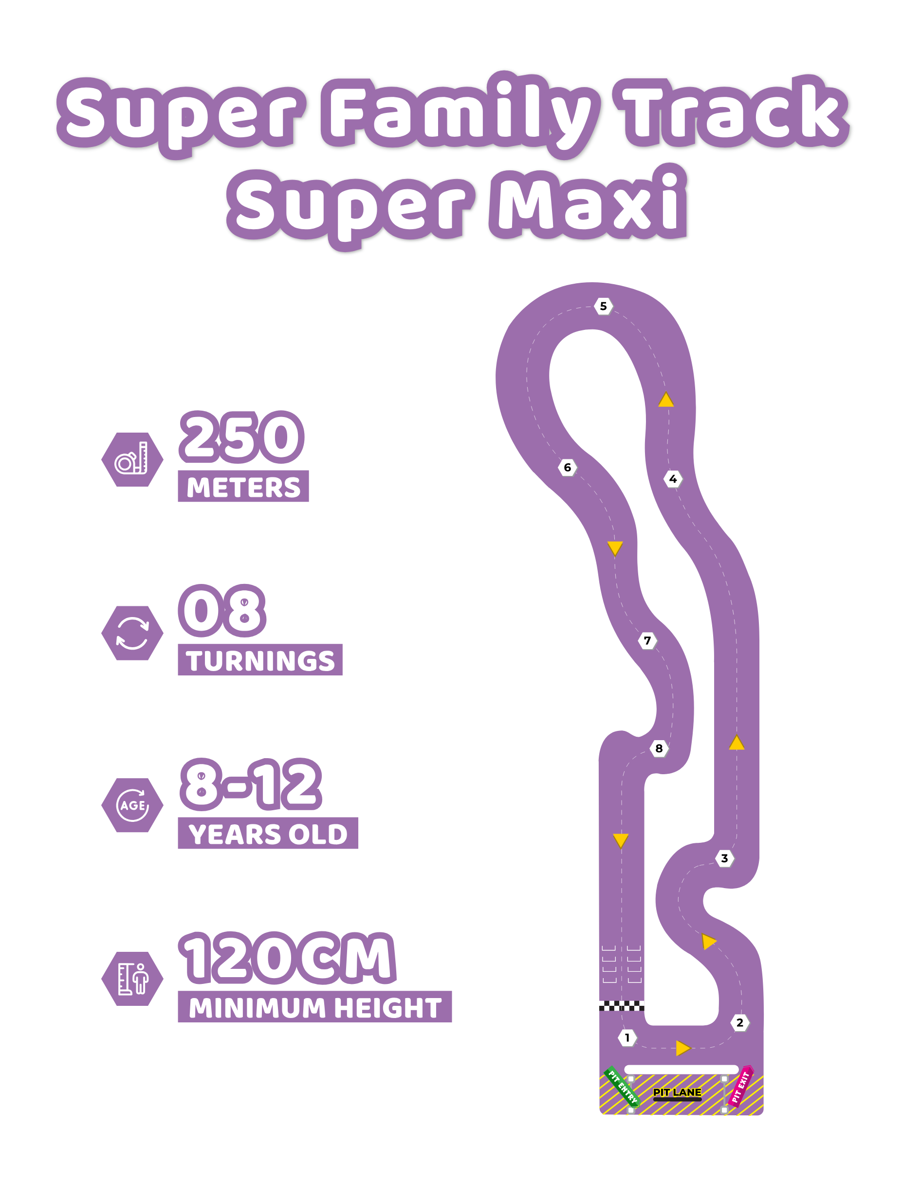 Super Bros Kart photo 2